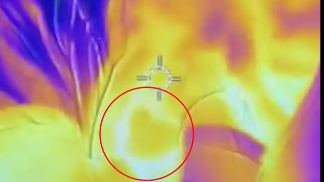 Snimao ju termalnom kamerom dok doji: Jeste li uočili srce?