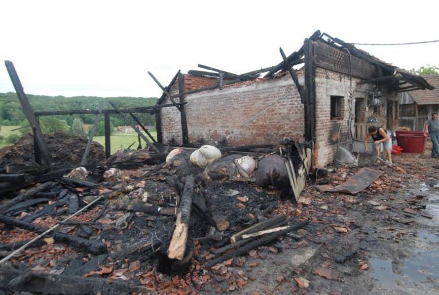 Damir Špehar/PIXSELL