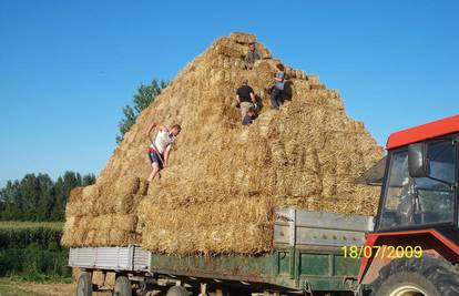 Piramidu od sijena visoku 7 metara vozili  traktorom