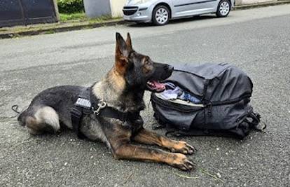 Pas nanjušio skoro 14 kila droge u busu na A6, uhitili su mladića