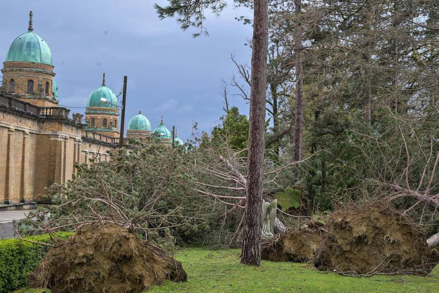 Zagreb: U nevremenu teško  oštećeno gradsko groblje Mirogoj