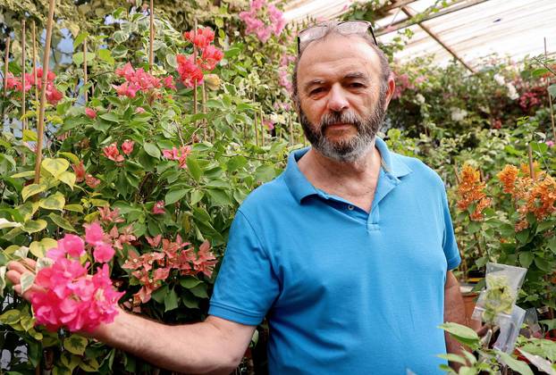 Split: Denis Bojčić, kolekcionar bugenvila