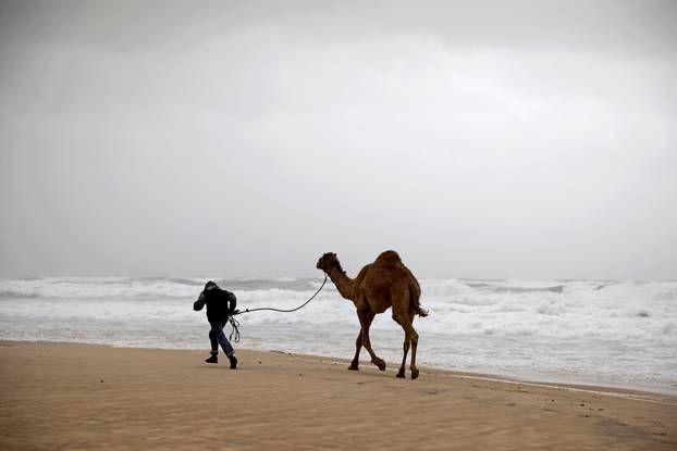 A Bedouin walks with his camel in Zikim beach, on the Mediterranean coast near the southern city of Ashkelon