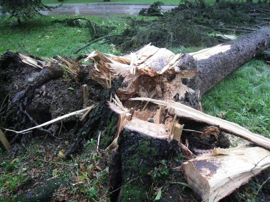 Mihael Hnatyšyn/24sata