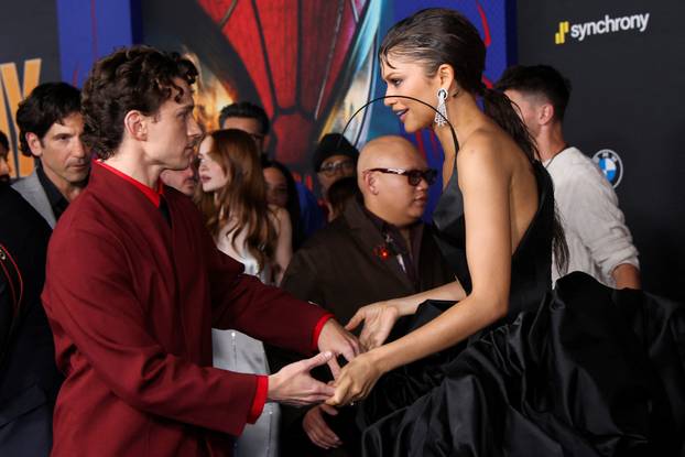 World premiere for the film Spider-Man: Brand New Day in Los Angeles