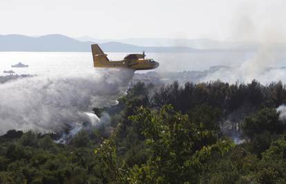 Požar kod Dicma progutao 4,5 hektara niskog raslinja