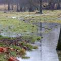U Hrvatskoj šteta od poplava iznosi preko 500 milijuna kuna