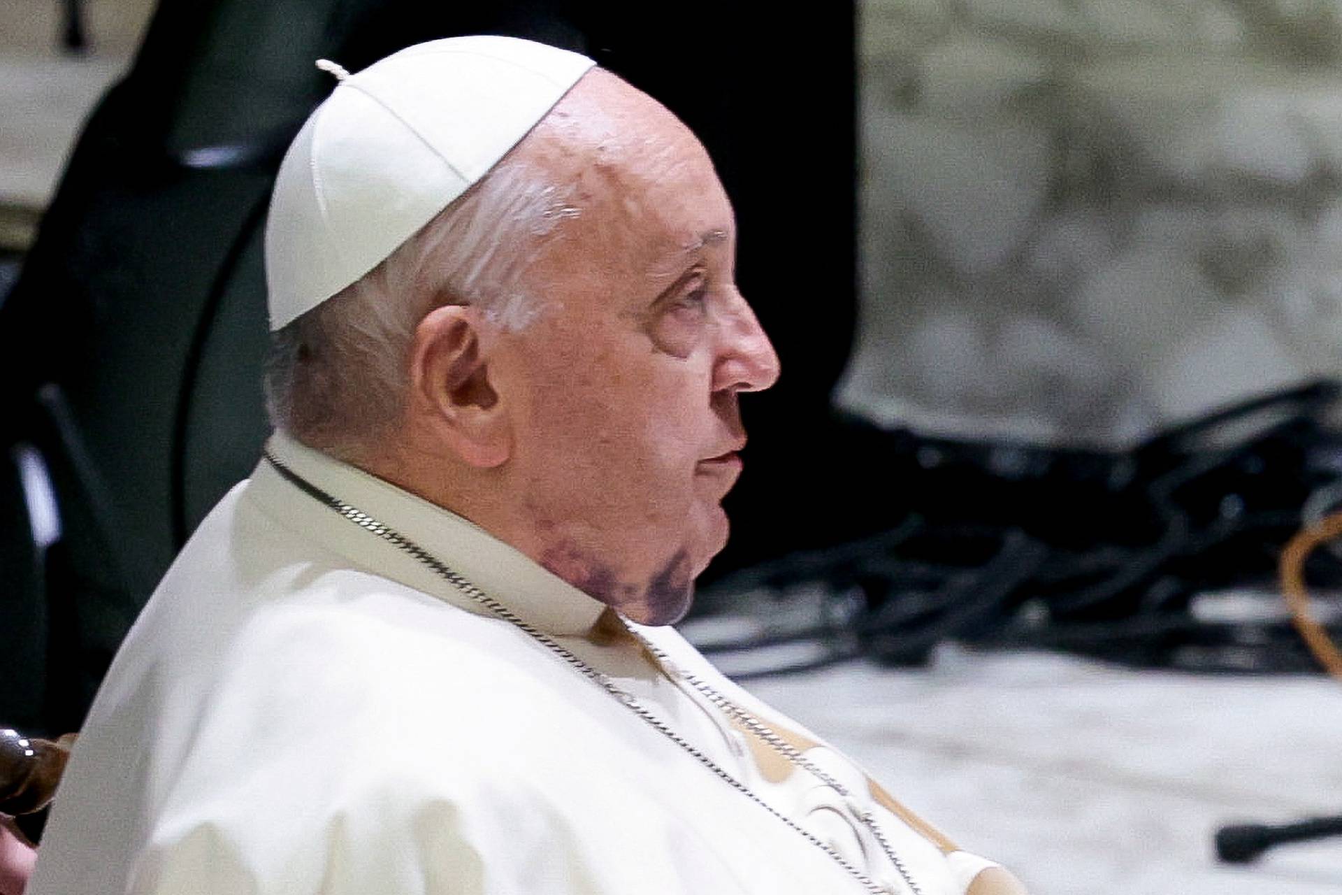 Pope Francis holds an audience with donors of the St. Peter's Square Christmas tree and Nativity scene, at the Vatican