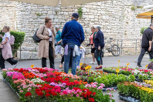 Pula: 17. sajam cvijeća Florija na Giardinima