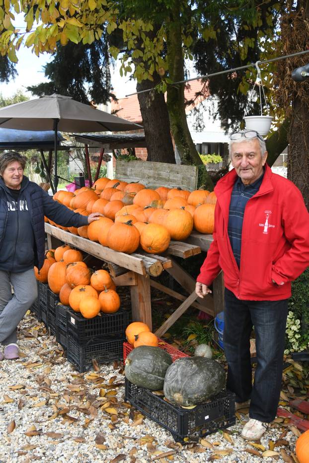 Čukovec: Selo jagoda pretvoreno je u selo bundeva