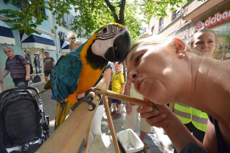 Duško Marušić/PIXSELL 