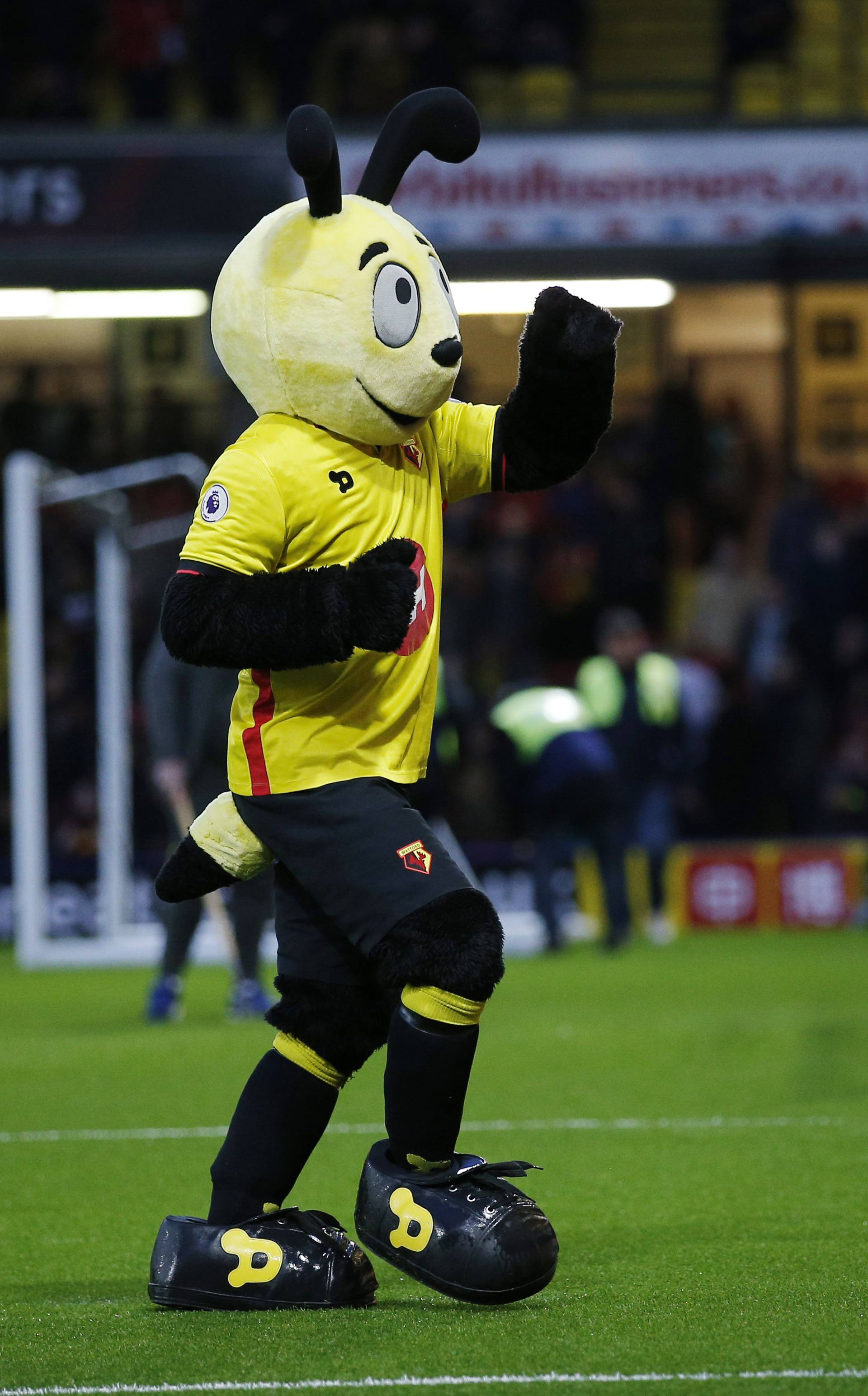 Watford mascot before the match