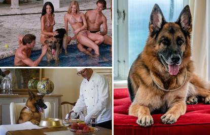 Ovo je Gunther, najbogatiji pas na svijetu. I želi doći u Zagreb...