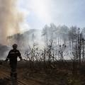 Spojila se dva požara kod Muća: Izgorjelo 50 hektara šume