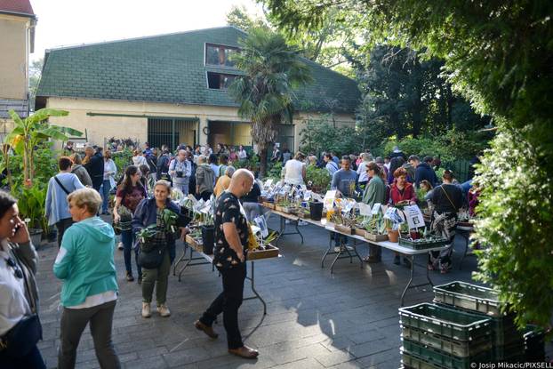 Zagreb: Veliki interes izazvala je godišnja rasprodaja viška biljaka u Botaničkom vrtu