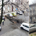 VIDEO Srušilo se stablo nasred ceste u centru Zagreba: 'Samo je palo samo od sebe, strašno'