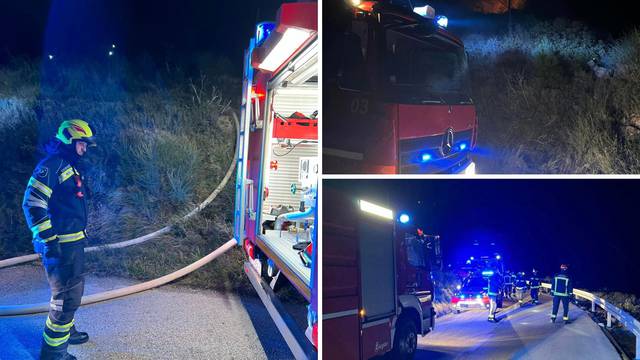Čak 50 vatrogasaca s 13 vozila gasilo je požar kod Podgore - gorjelo nisko raslinje i borovina