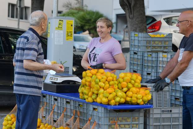 Sibenik: Zapocela prodaja domacih mandarina iz doline Neretve