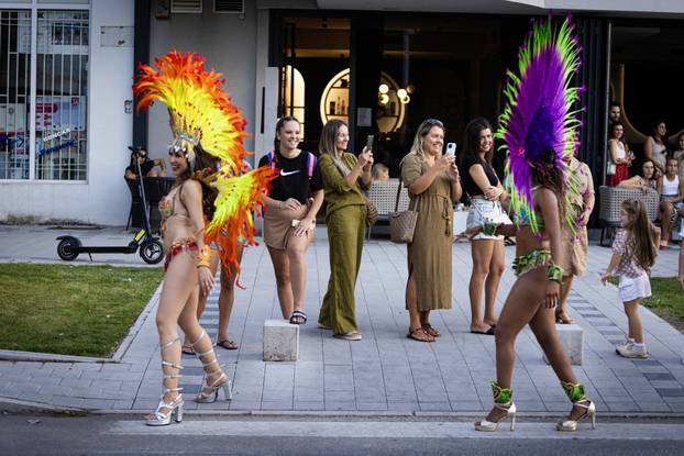 Čapljinski međunarodni ljetni karneval