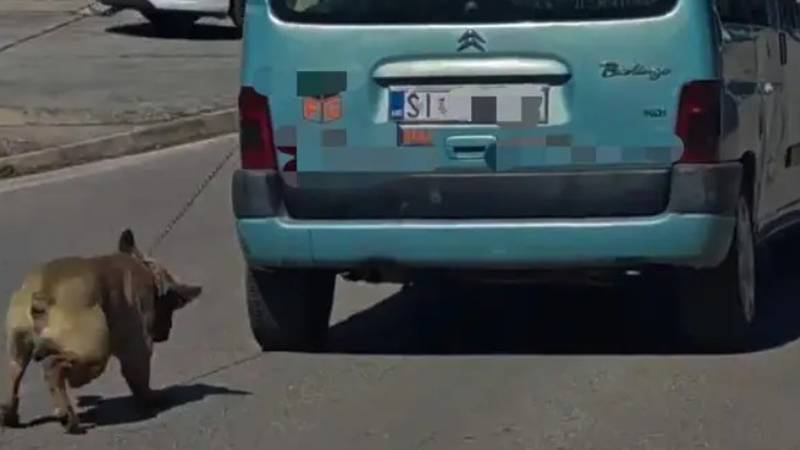 FOTO Monstrum koji je vezao psa za auto i vukao ga po cesti u Šibeniku ide u istražni zatvor!