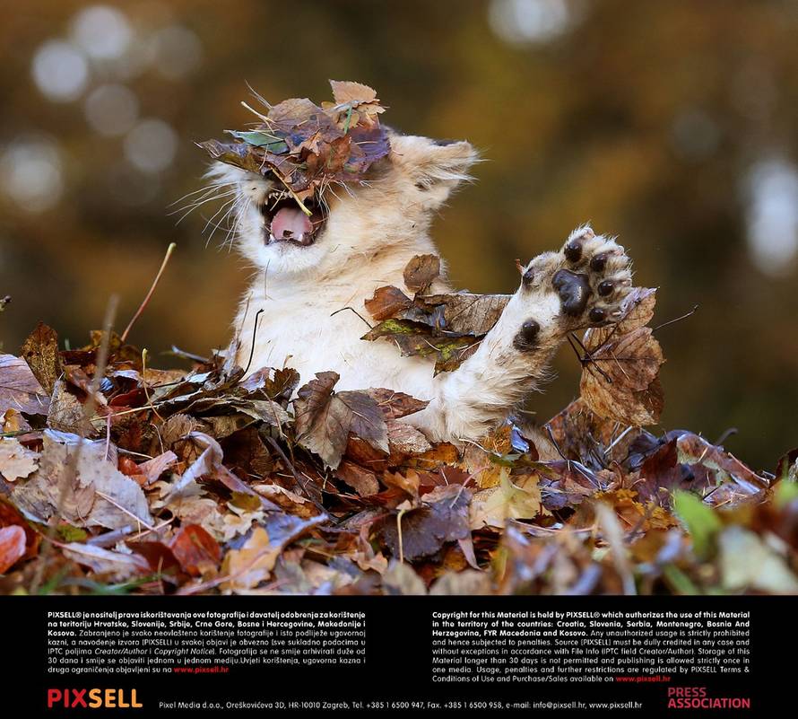 Press Association/Pixsell