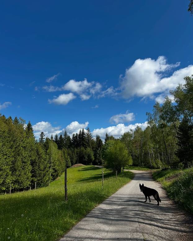 Najljepše biciklističke staze u Hrvatskoj - na kopnu i uz more