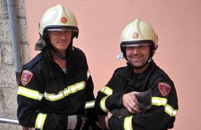 Mačka nekoliko dana patila u dimnjaku, spasili ju vatrogasci