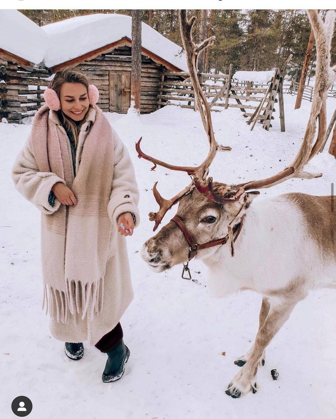 Sonja Kovač se pohvalila idilom u Finskoj: S dečkom spavala pod nebom, a sob joj je jeo iz ruke...