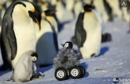 Nisu skužili uljeza: Maskirali auto u pingvina