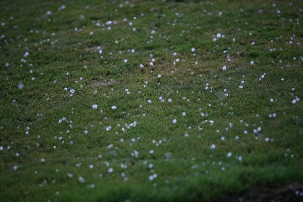 Lendava: Zbog jake tuče otkazana je pripremna utakmica Dinamo - Bešiktaš