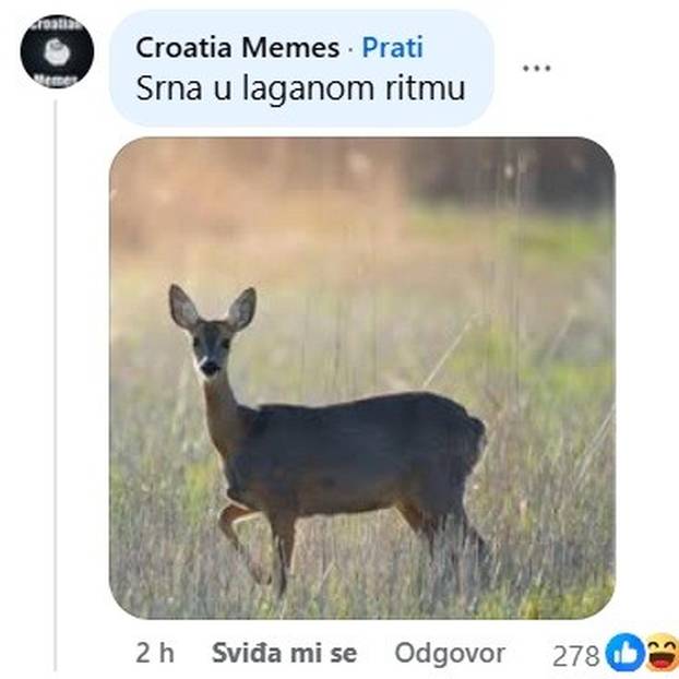 Društvene mreže gore nakon pobjede Hrvatske: Nisam ni ja ovako Francusku sredio za Božić