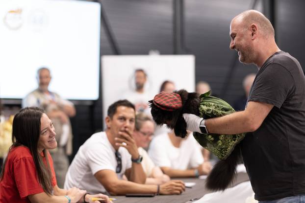 FOTO Velika izložba mačaka u Zagrebu: Predstavljene i jedinstvene modne kreacije
