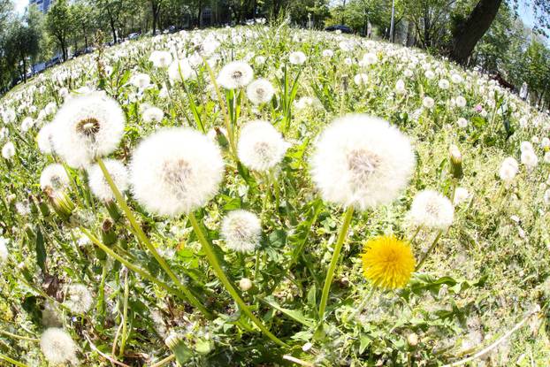 Na današnji dan obilježava se Dan planeta Zemlje