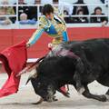 Španjolska: Borba s bikovima postala umjetnička disciplina