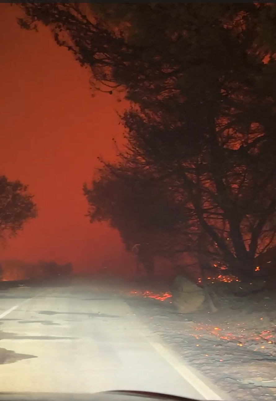 VIDEO Dramatične snimke s Brača: Izbio veliki požar  u Bolu