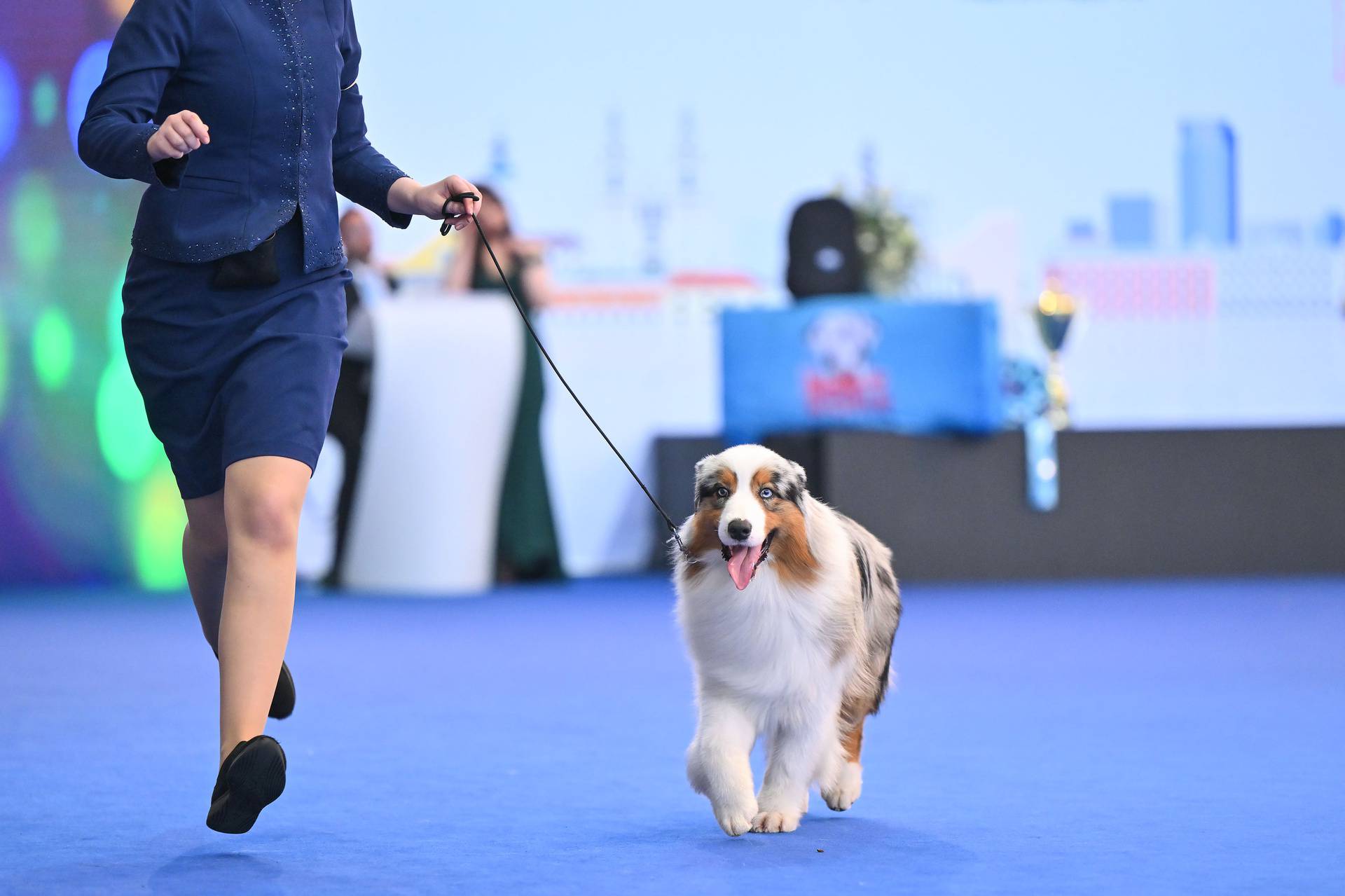 Atmosfera na posljednjem danu World Dog Showa na Zagrebačkom Velesajmu