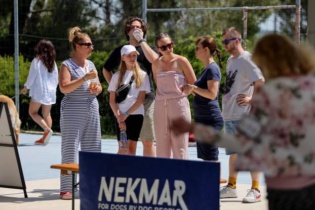 Zaton: Međunarodna izložba pasa pod nazivom CACIB Zadar 2025