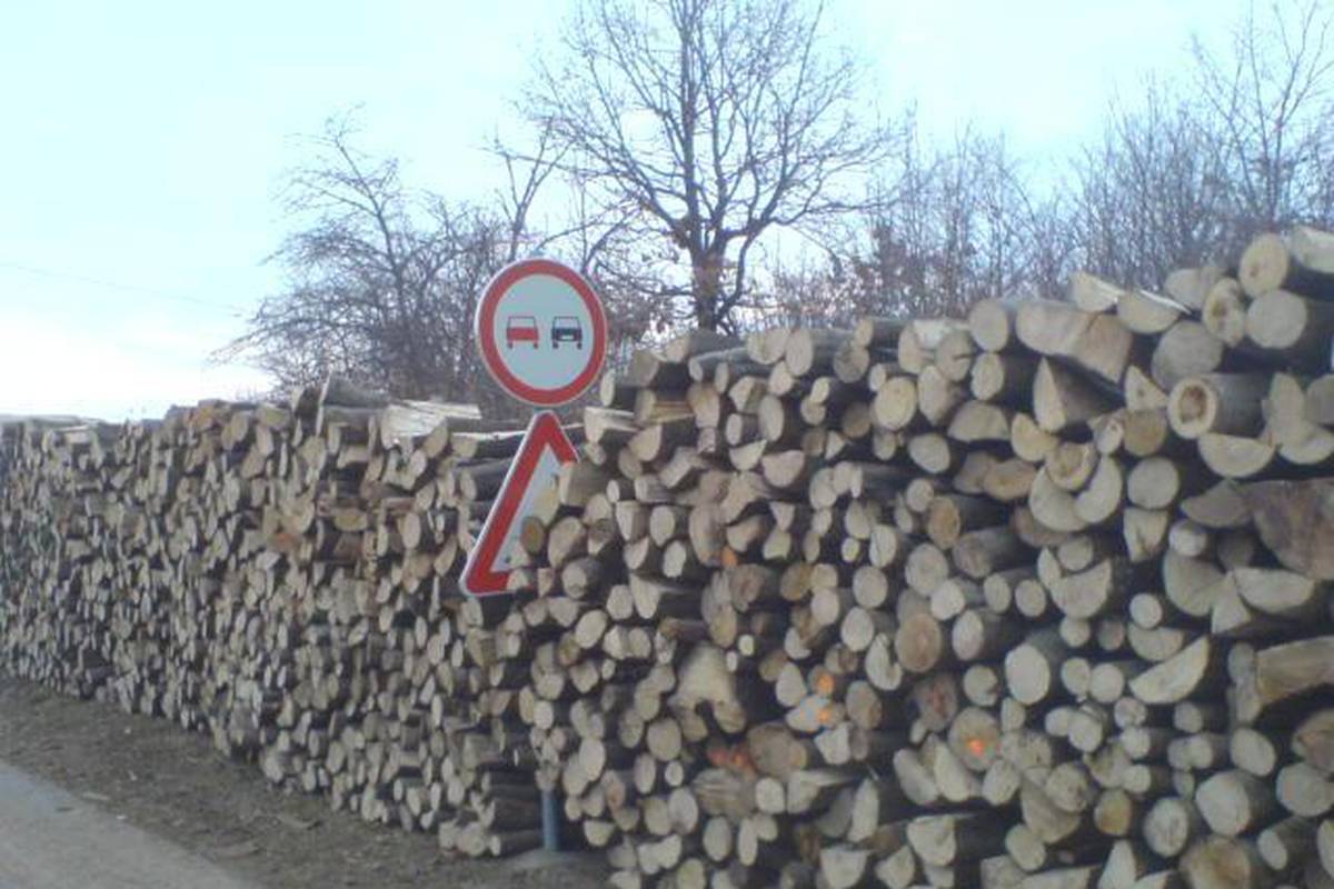 Drva naslagali uz cestu i zaklonili prometni znak