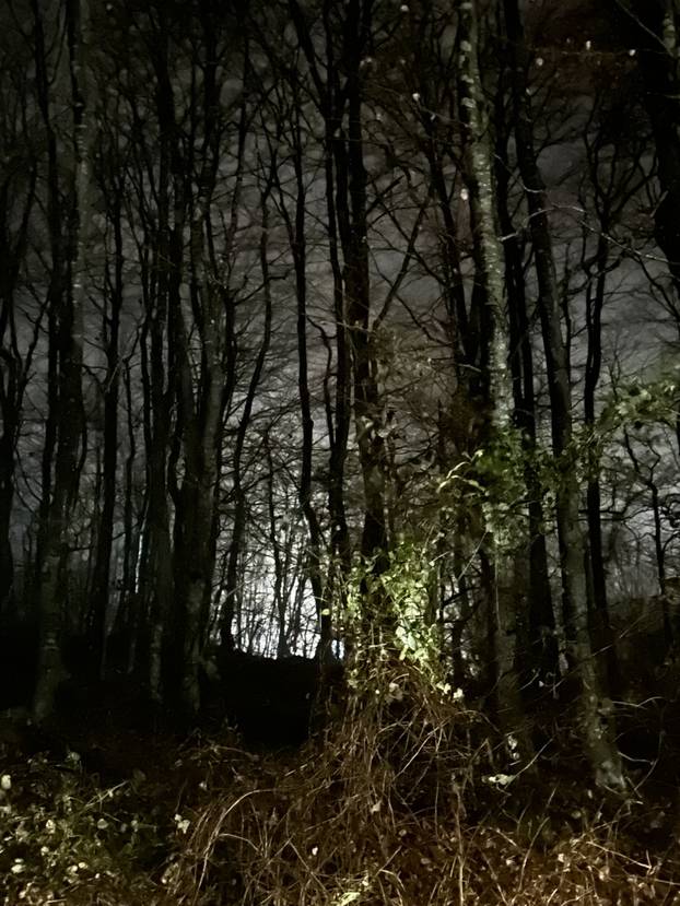 FOTO Prizori užasa kraj Senja