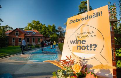 Slavonija i Podravina, wine not!? Ovaj vinski festival će vas oduševiti