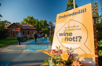 Slavonija i Podravina, wine not!? Ovaj vinski festival će vas oduševiti