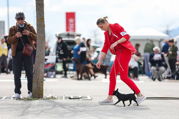 Zaprešić: Ispred Wesgatea održana međunarodna izložba pasa