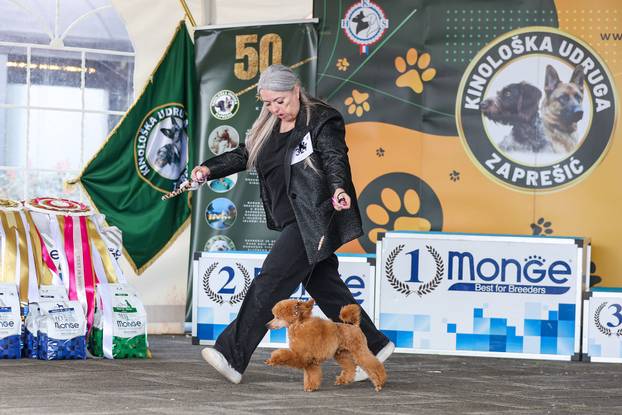 Zaprešić: Ispred Wesgatea održana međunarodna izložba pasa