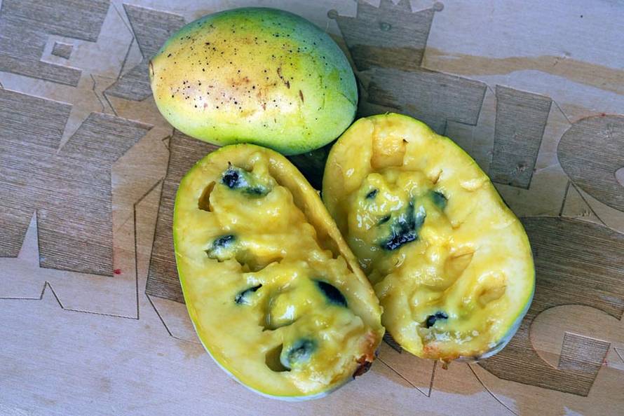 Počinje 6. Festival indijanskih banana: Saznajte sve o ovom zdravom voću i zabavite se