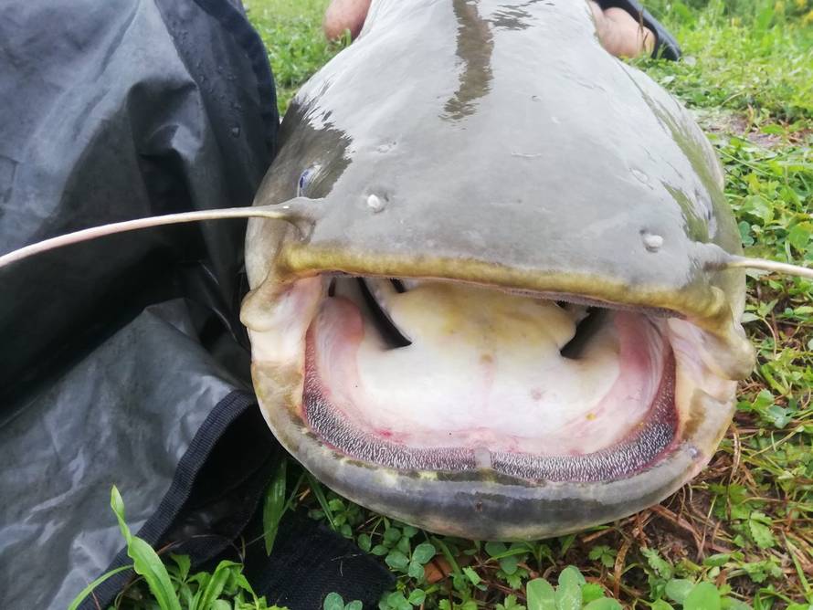 'Drž' ga, ne puštaj!' - Kako da ga držim kad on drži mene?!