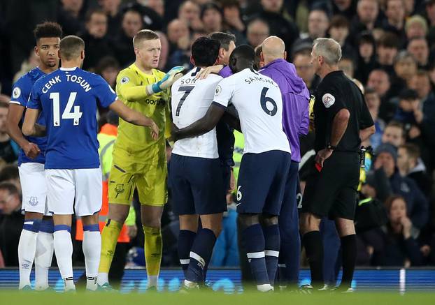 Everton v Tottenham Hotspur - Premier League - Goodison Park