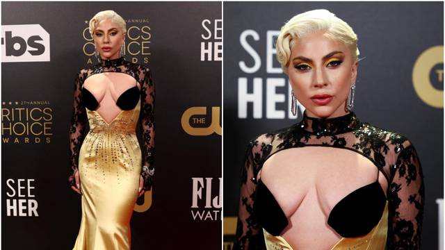 Lady Gaga se na crvenom tepihu pohvalila raskošnim dekolteom
