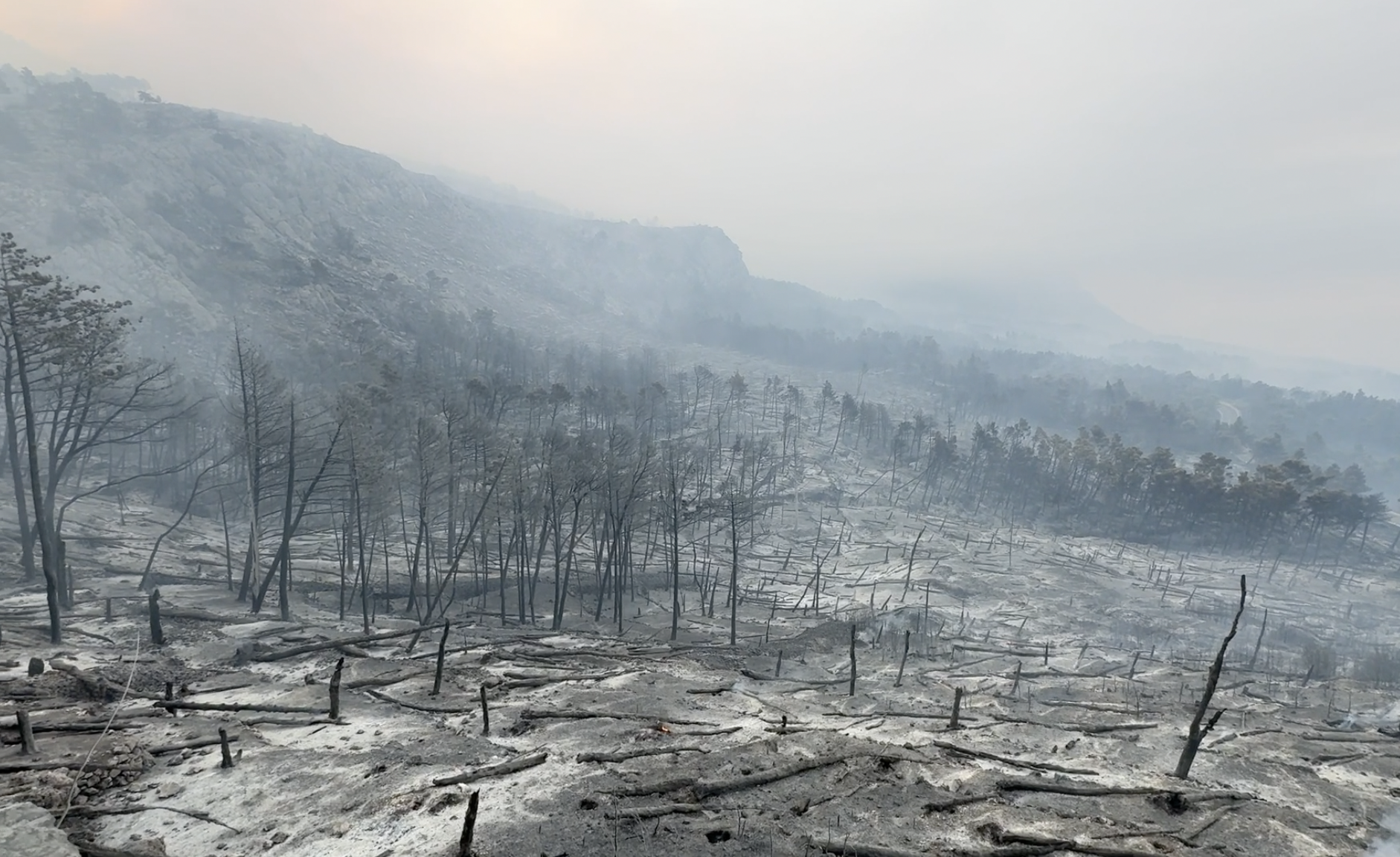 Inferno prohujao Podgorom: 'Vatra nas je okružila sa svih strana, jedva smo ostali živi'