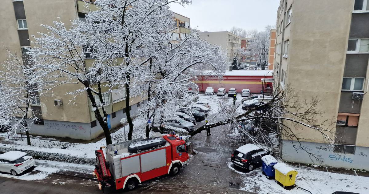 Snow Causes Chaos in Zagreb: Trees Toppled, Five Cars Damaged by Snowstorm