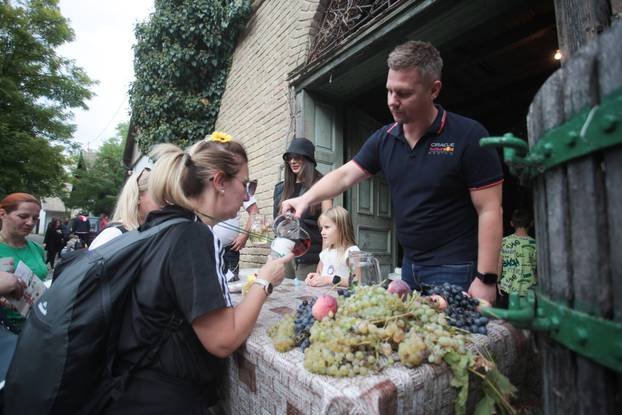 Zmajevac:  Vinski Bor maraton